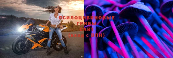 мяу мяу мука Армянск