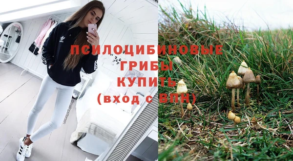 шишки Покровск