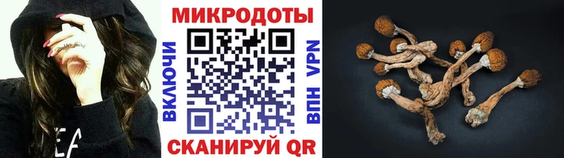 Псилоцибиновые грибы прущие грибы  дарнет шоп  гидра зеркало  Мамадыш 